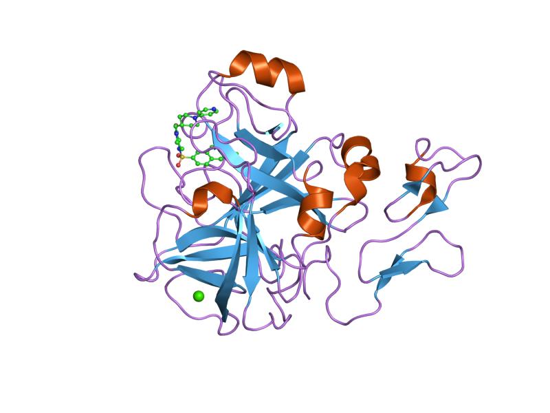 File:PDB 1iqk EBI.jpg