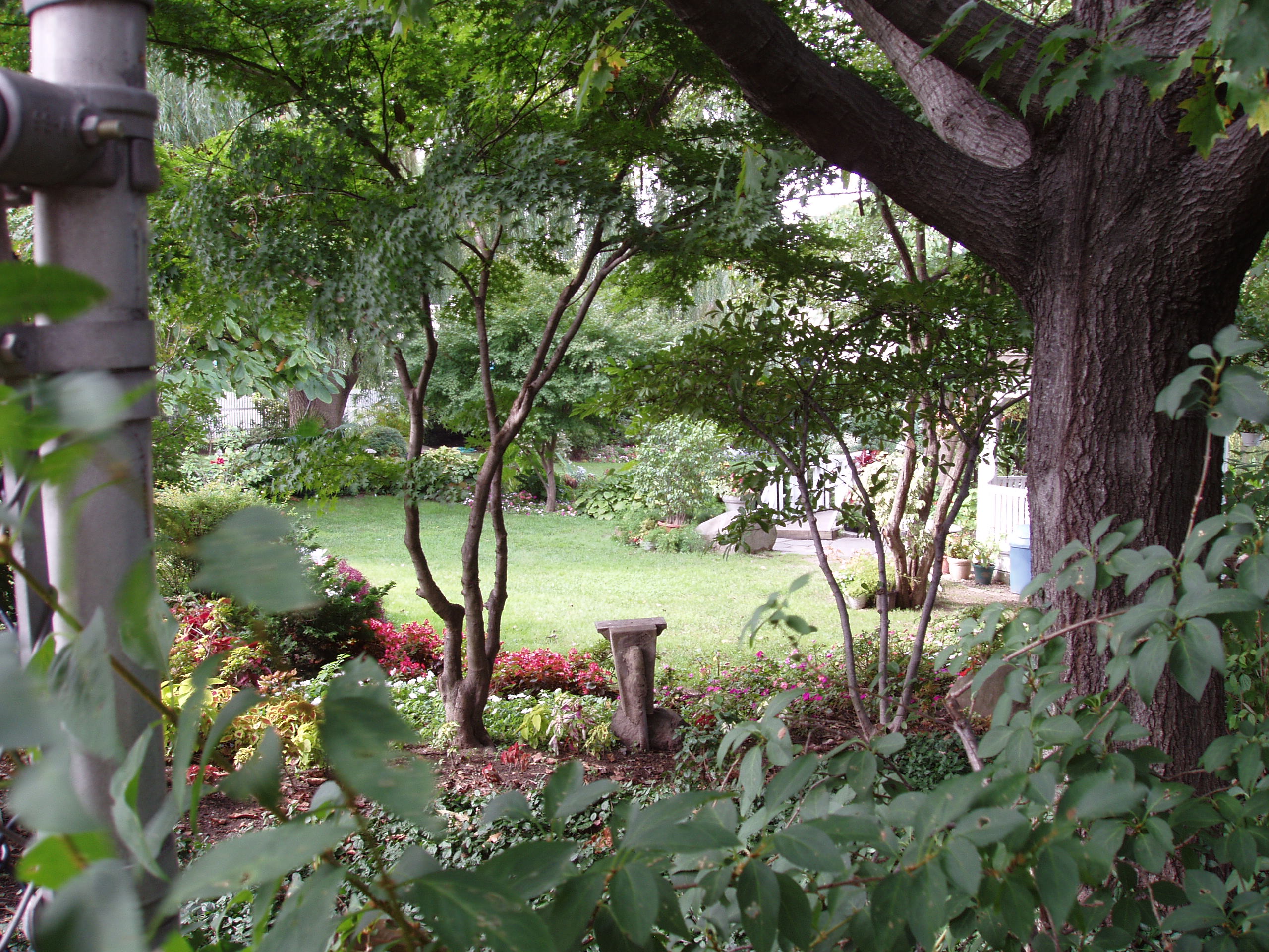 Photo of Queens Botanical Garden