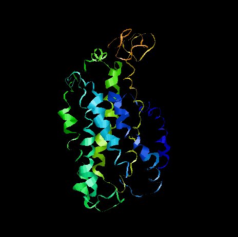 File:Rhodopsin.jpeg