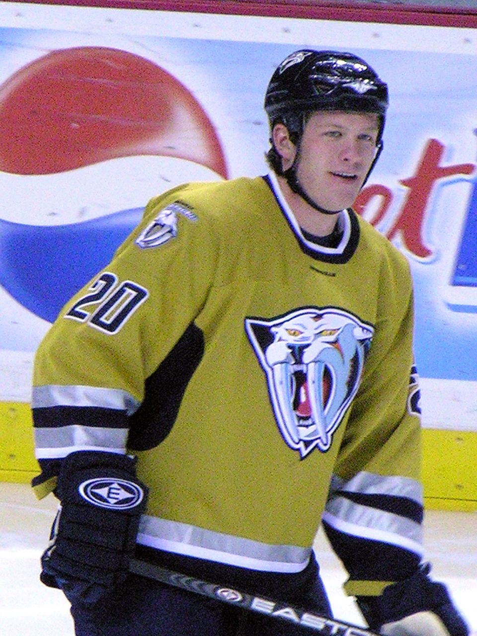 Ryan Suter - Wikipedia