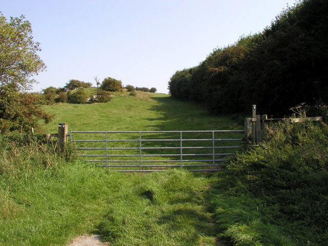 File:The Wolds Way - geograph.org.uk - 238080.jpg