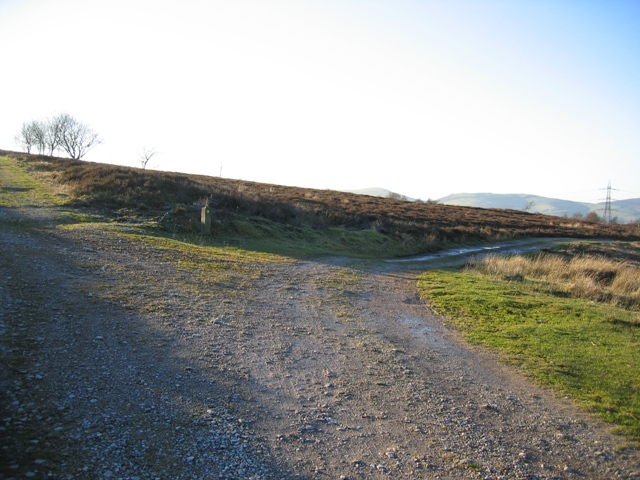 File:Track Junction by Llyn Cyfynwy - geograph.org.uk - 350300.jpg