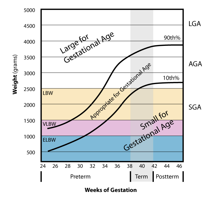 baby measuring smaller than gestational age