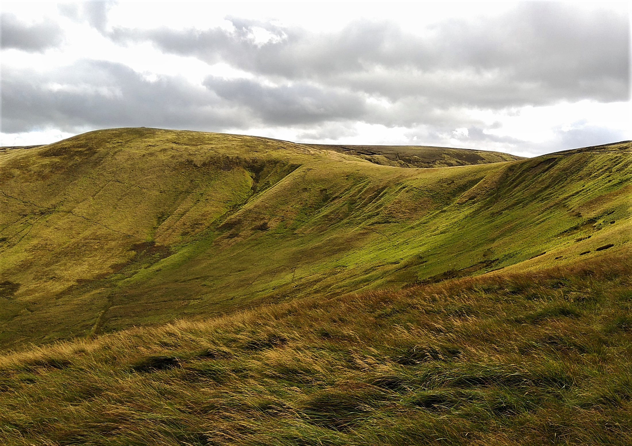 Windy Gyle