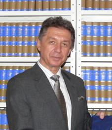 Sergeyev in 2013