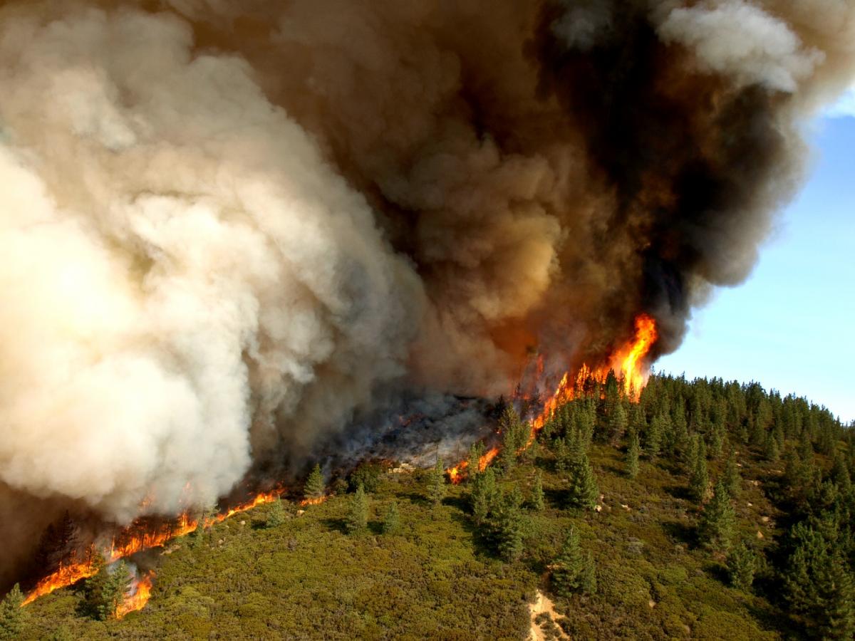 California wildfire burns the historic set where Gunsmoke and M*A*S*H were  filmed