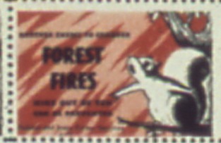 File:"Another enemy to conquer forest fires, nine out of ten can be prevented" - NARA - 513860 (cropped).jpg