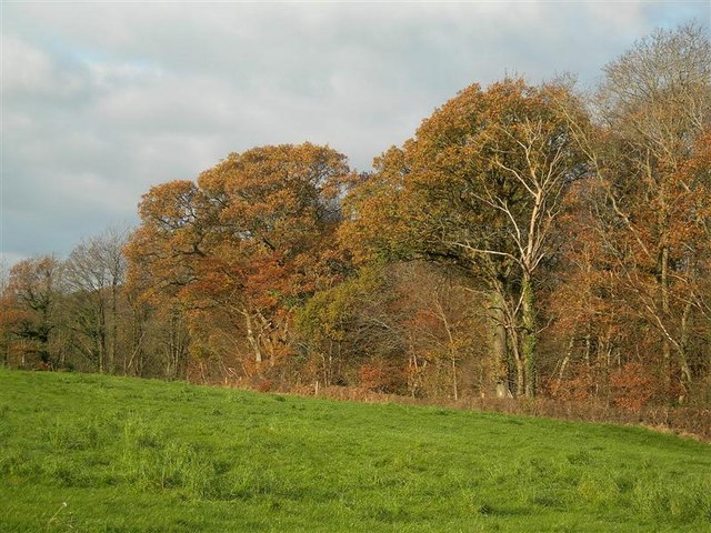 File:Autumn Colours - geograph.org.uk - 615376.jpg