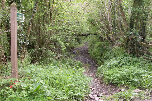 Bridleway into Eggesford Forest - geograph.org.uk - 171320