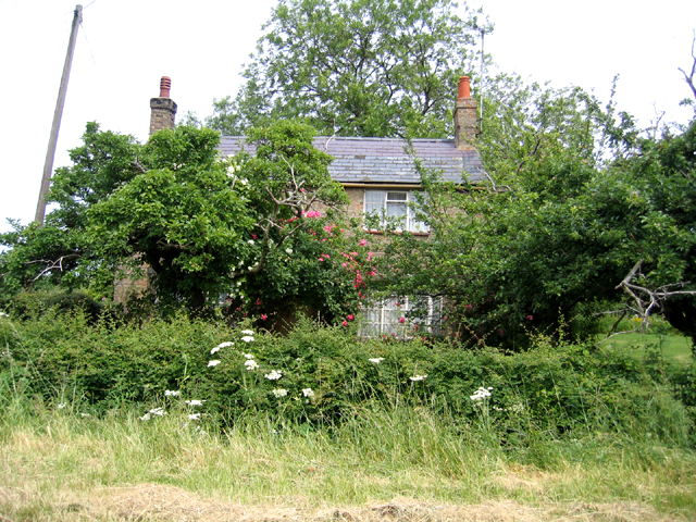 File:Chamber's Farm, Grunty Fen, Cambs - geograph.org.uk - 231577.jpg