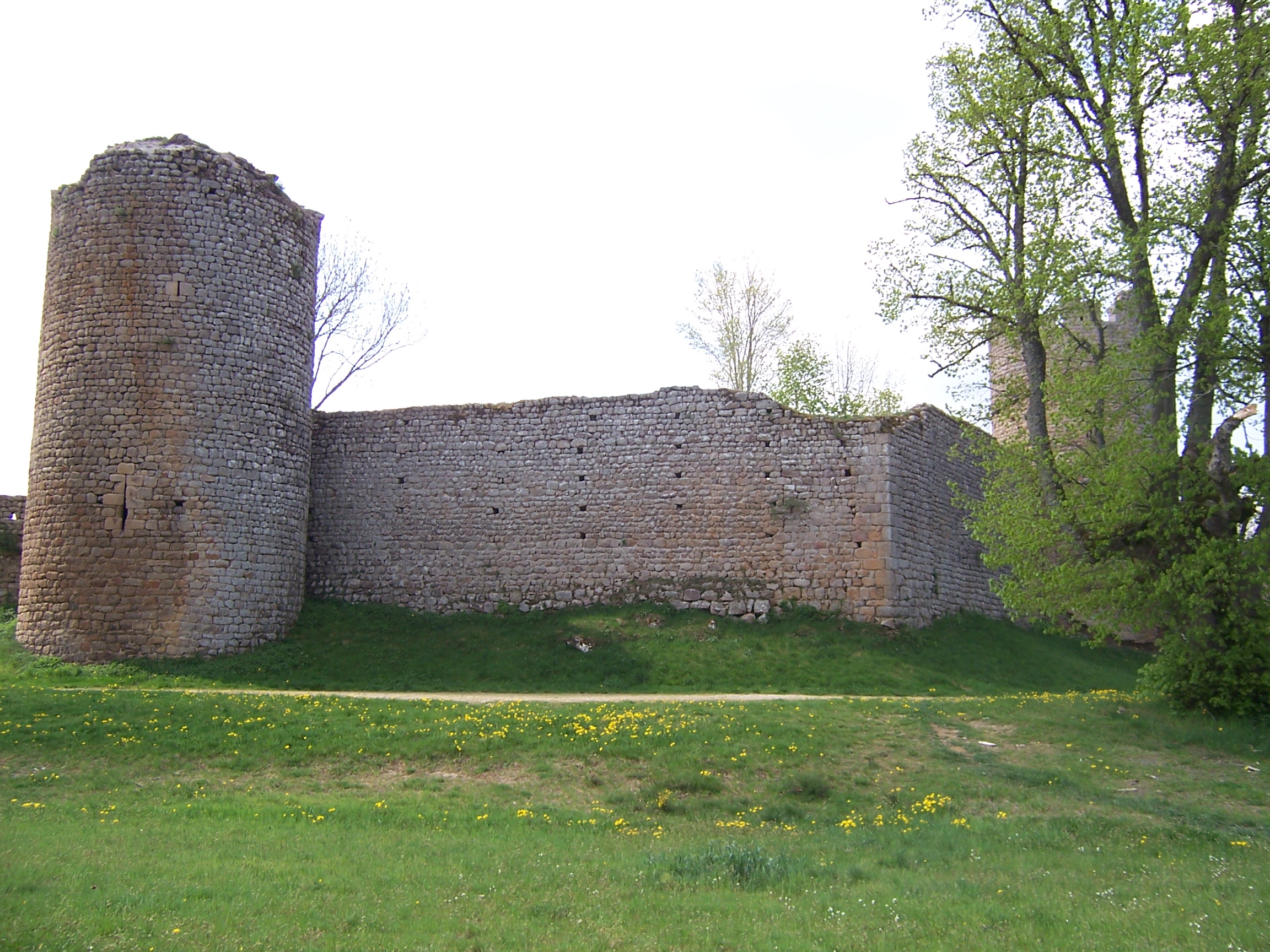 Château de Viverols  France Auvergne-Rhône-Alpes Puy-de-Dôme Viverols 63840