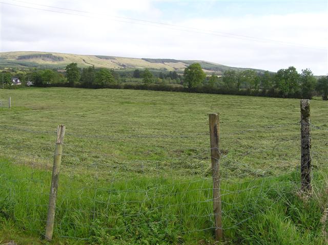 File:Cherrybrook Townland - geograph.org.uk - 1494806.jpg