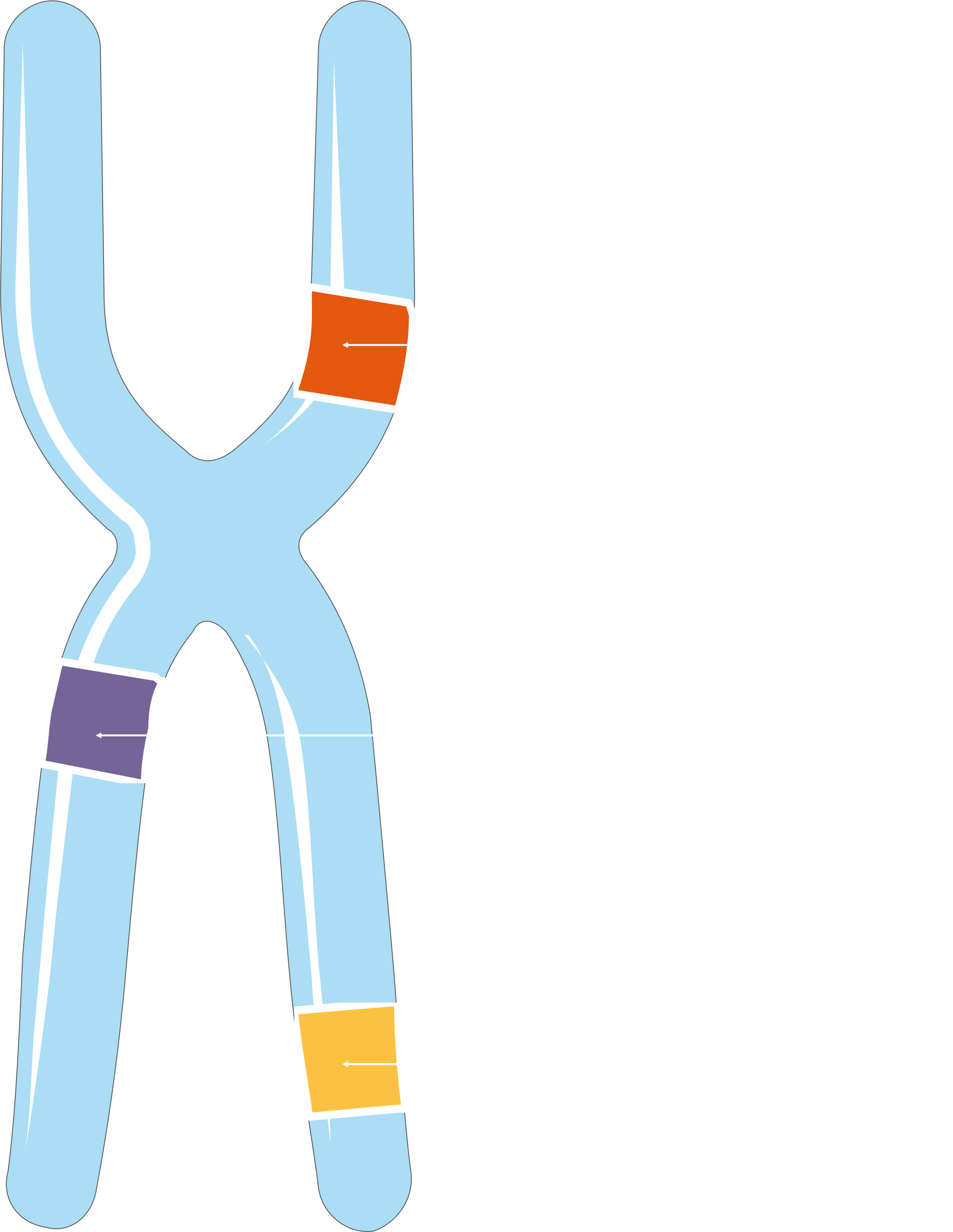 Chromosomes and alleles 11 Smart Servier