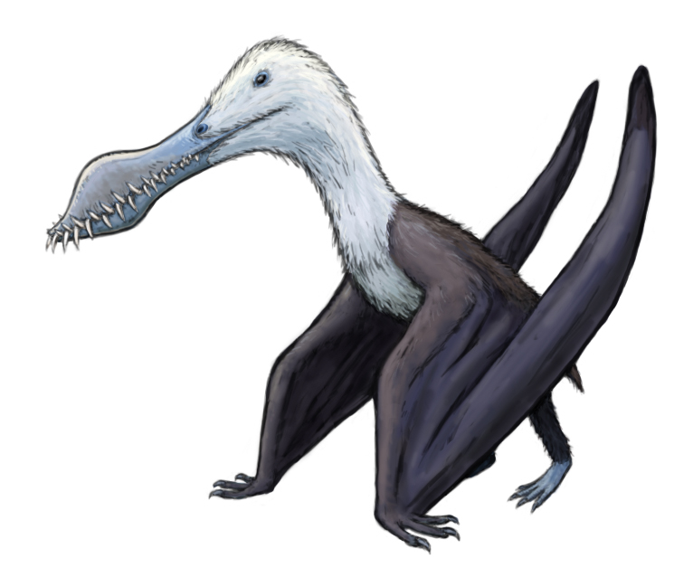 Pterosaur Size: Most Up-to-Date Encyclopedia, News & Reviews