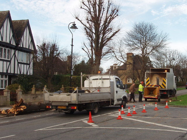 File:Clearing storm-felled tree, West Acton - geograph.org.uk - 315958.jpg
