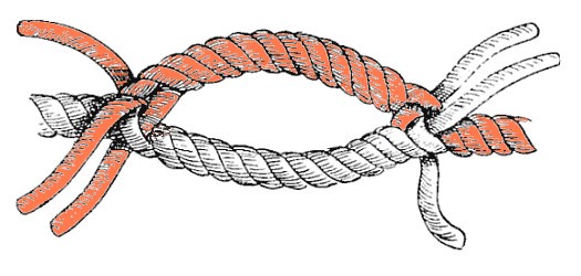 File:Cut splice with redColor.jpg - Wikimedia Commons