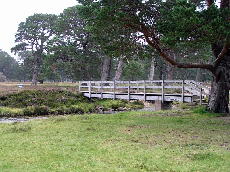 File:Derry bridge.jpg