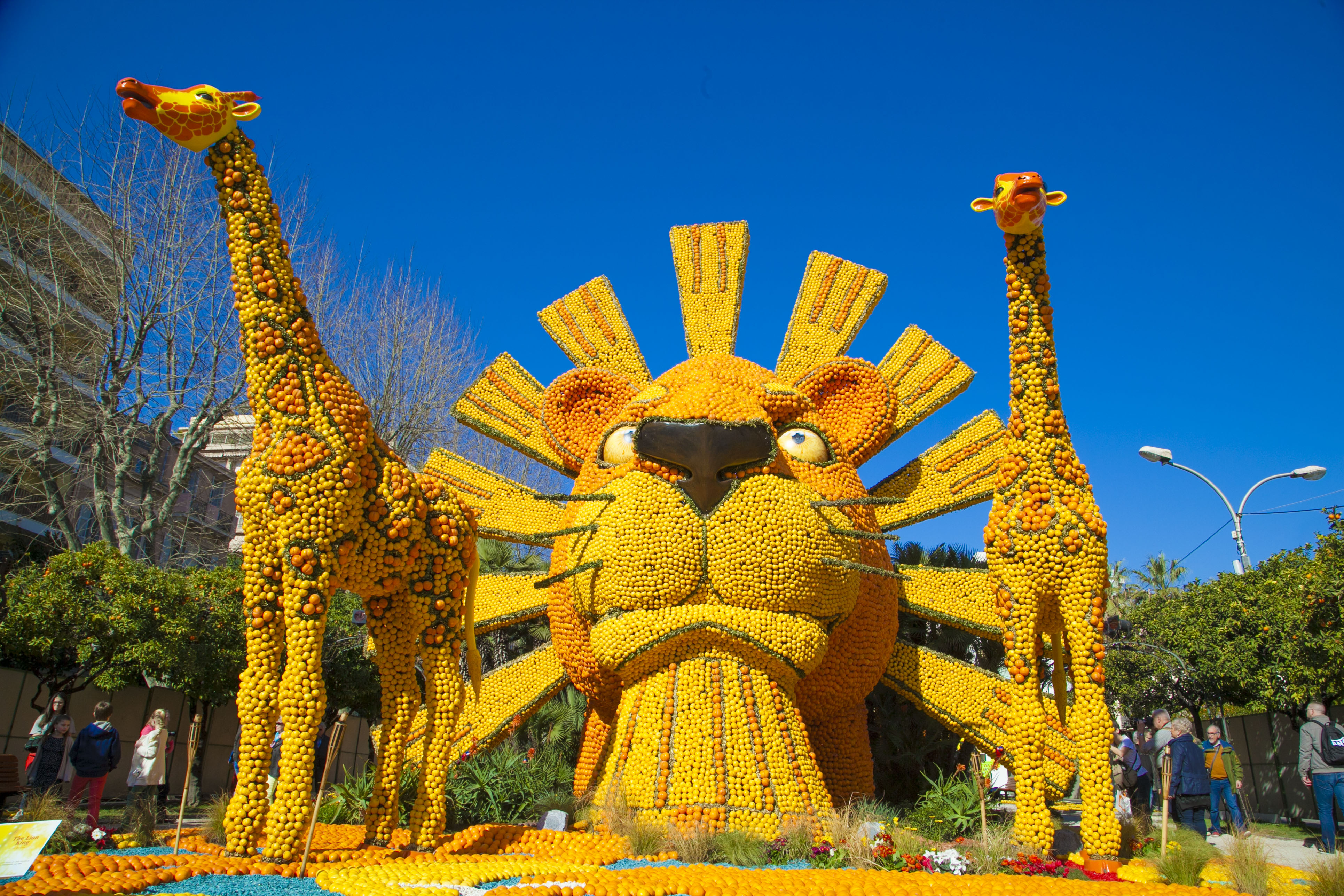 Résultat de recherche d'images pour "images de la fete du citron a menton"