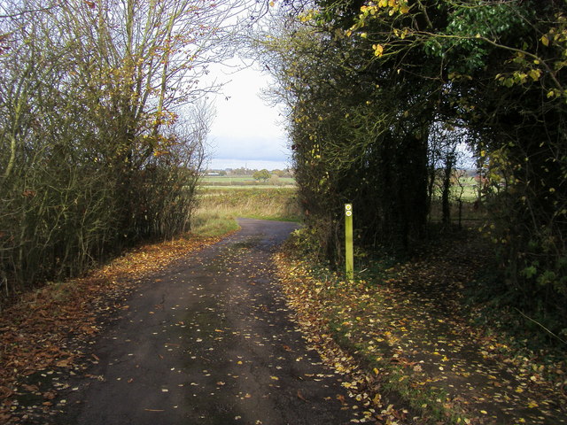 File:Footpath Junction - geograph.org.uk - 1562801.jpg