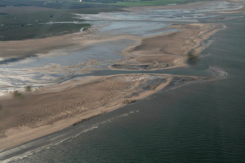 File:Grey Seals hauled up between Donna Nook and Somercotes Haven, aerial 2017 - geograph.org.uk - 5502680.jpg