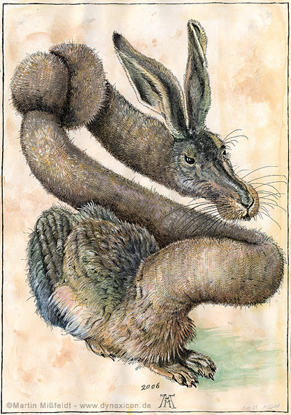 File:Hase-albrecht-duerer.jpg