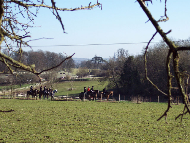 File:Hunt waiting to Move Off - geograph.org.uk - 327717.jpg