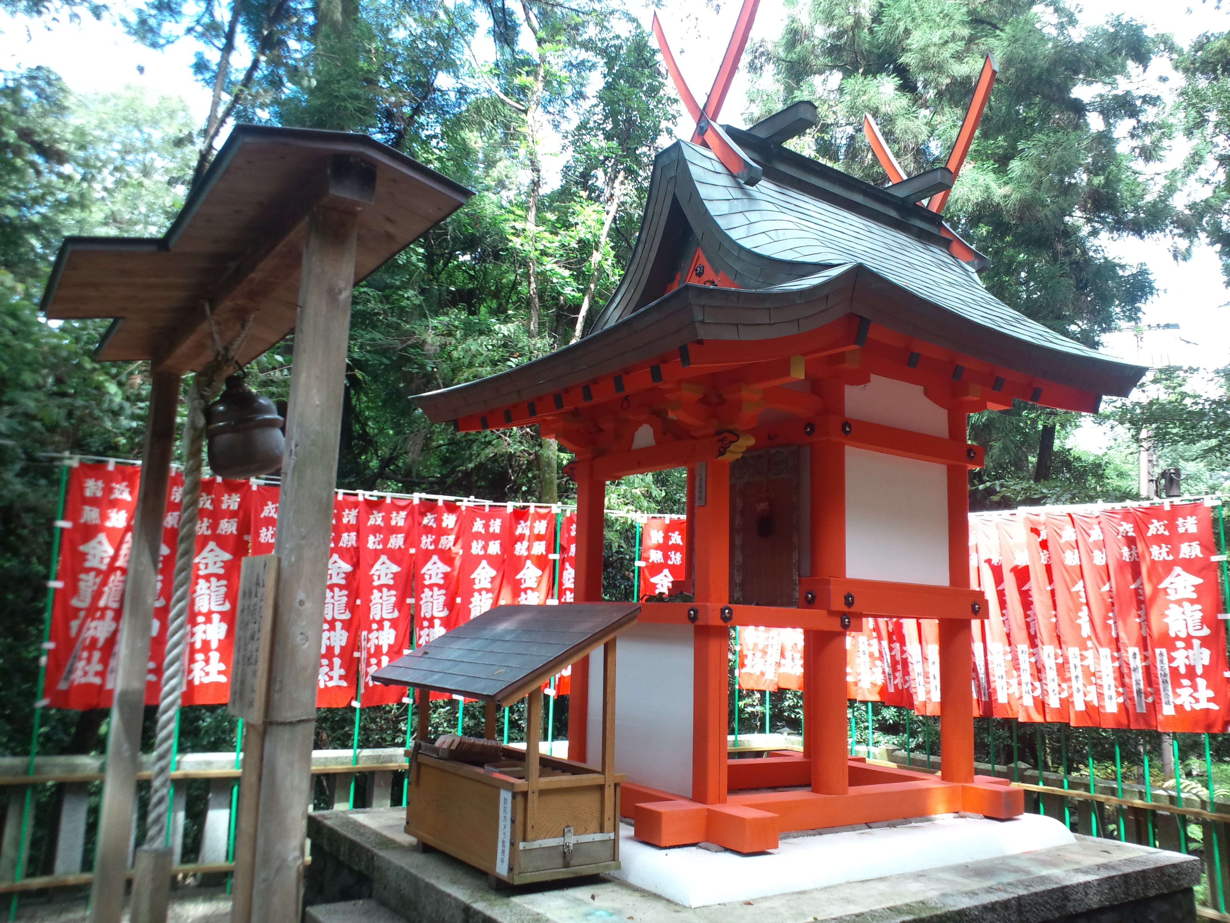 Taisha veli