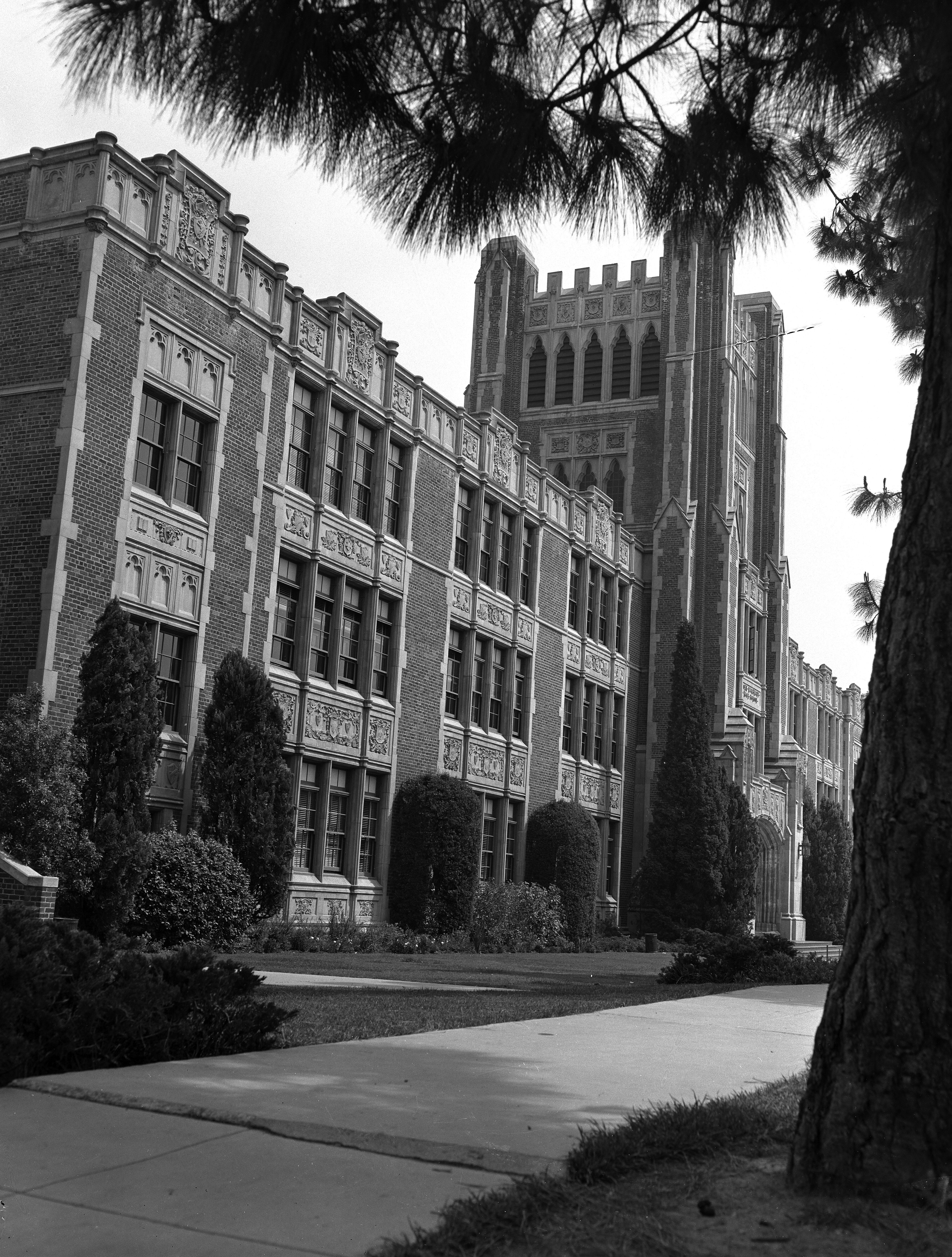 North Hollywood High School - Wikipedia