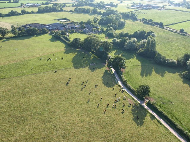 File:Lane to Tillhouse Farm - geograph.org.uk - 1386738.jpg