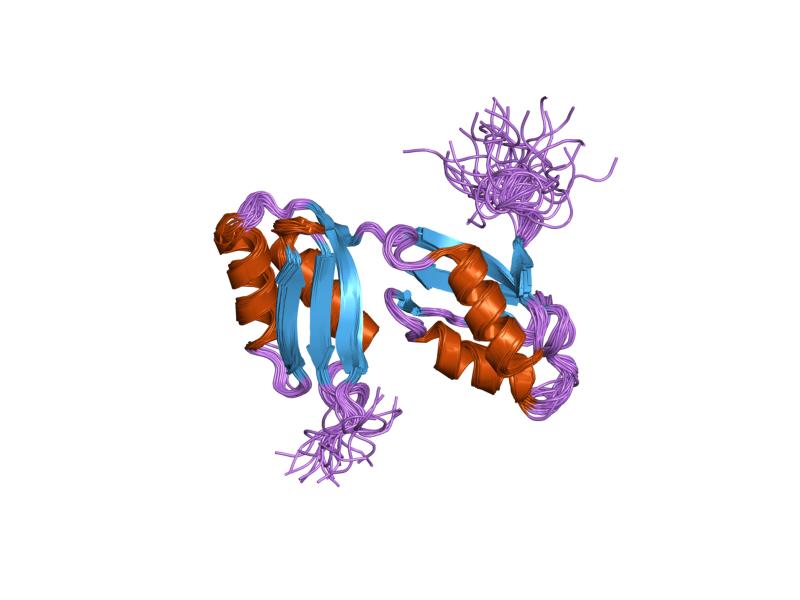 File Pdb 1p6t Ebi Jpg Wikimedia Commons