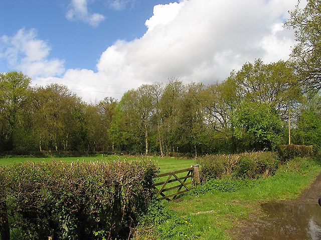 File:Paddock near Brimpton Common - geograph.org.uk - 5897.jpg