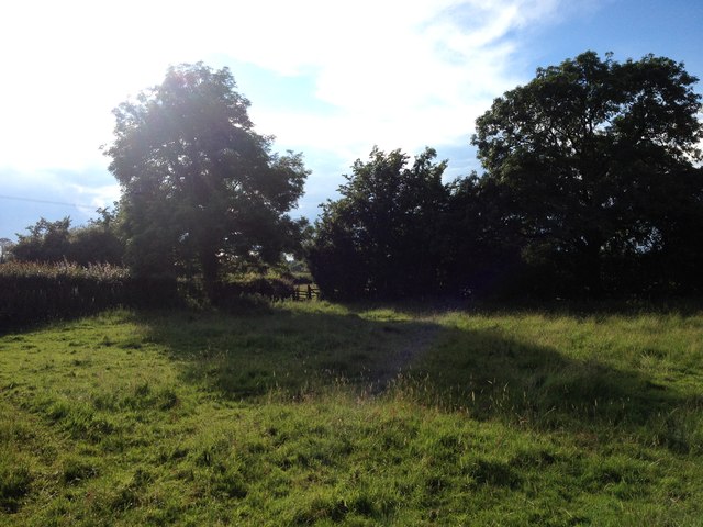 File:Path to Laughton - geograph.org.uk - 5008544.jpg