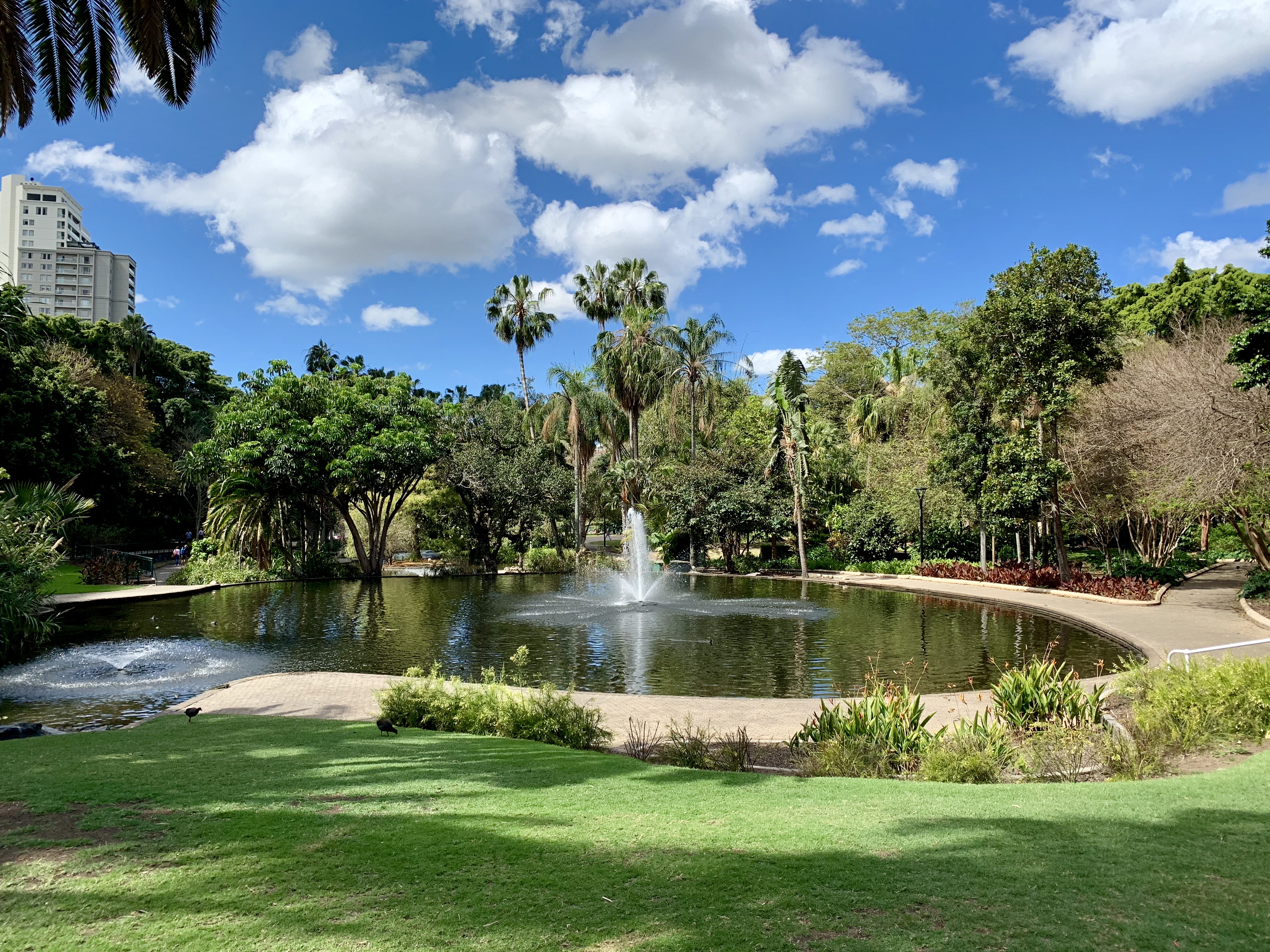 are dogs allowed in botanical gardens brisbane