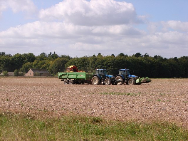 File:Potato harvesting - geograph.org.uk - 556795.jpg