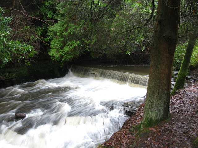 File:Small Weir on the Auldhouse Burn in Rouken Glen Park - geograph.org.uk - 3267520.jpg