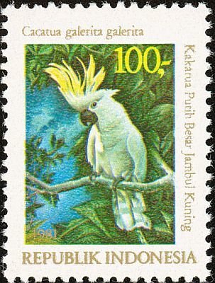 File:Stamp of Indonesia - 1981 - Colnect 255689 - Yellow crested Cockatoo Kakatoe galerita galerita.jpeg