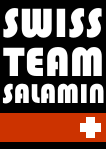 Vignette pour Swiss Team Salamin