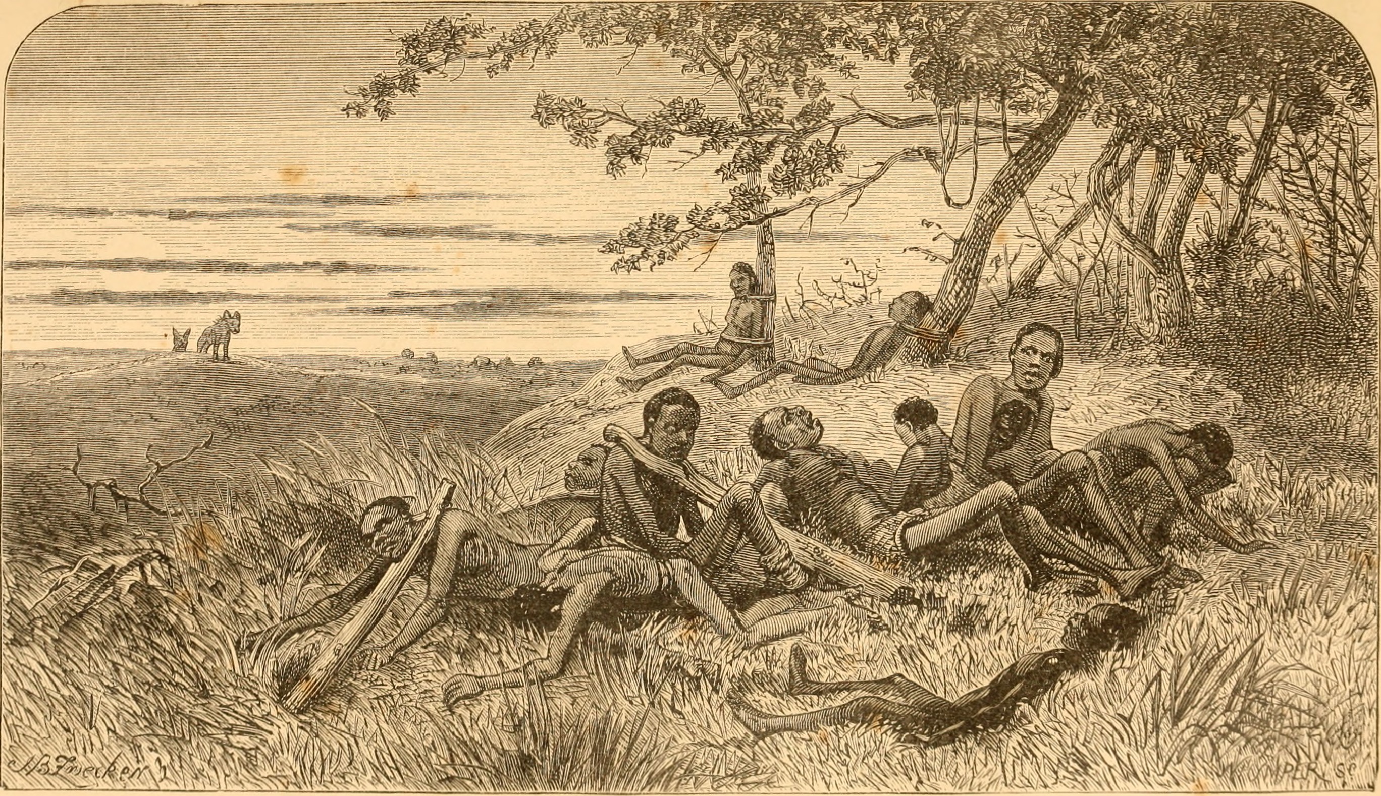 Рабство в сша. Африка 19 века работорговля. Давид Ливингстон Африка. Работорговля в Африке 19 век. Занзибар работорговля 1873.