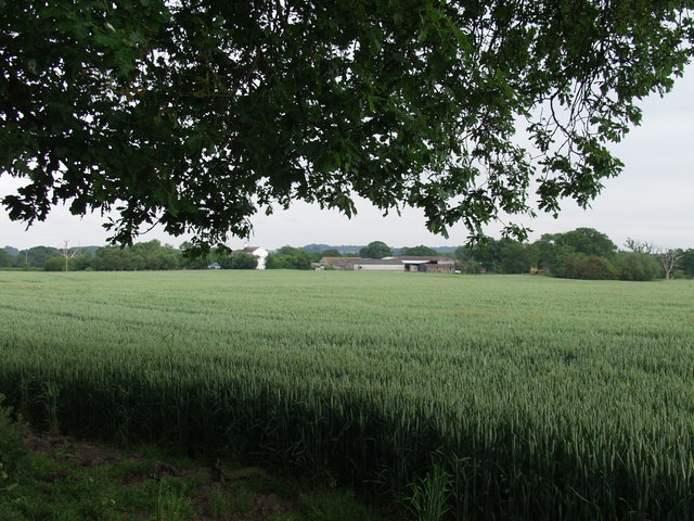 File:The Leasowes near Wootton - geograph.org.uk - 188401.jpg