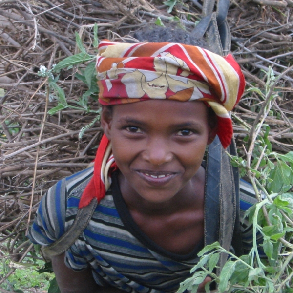 File:Wood Gatherer Ethiopia (Ahron de Leeuw - flickr).jpg