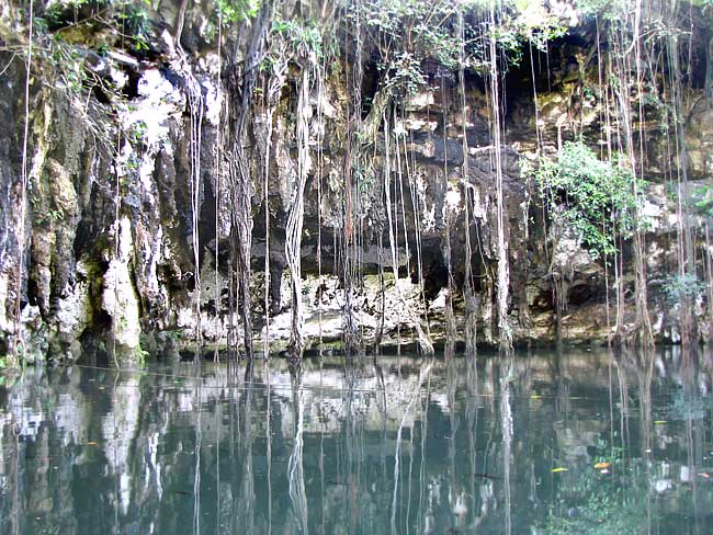 File:Yokdzonot-Cenote-wall.jpg