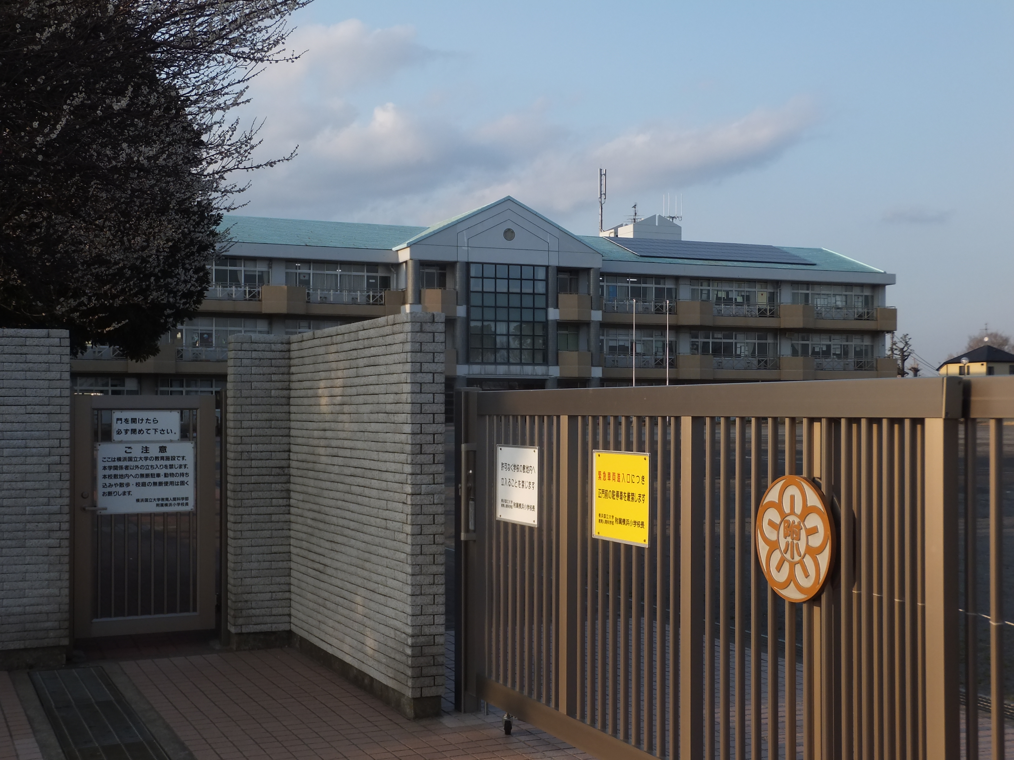 File Yokohama Elementary School Affiliated With Yokohama National University Jpg Wikimedia Commons