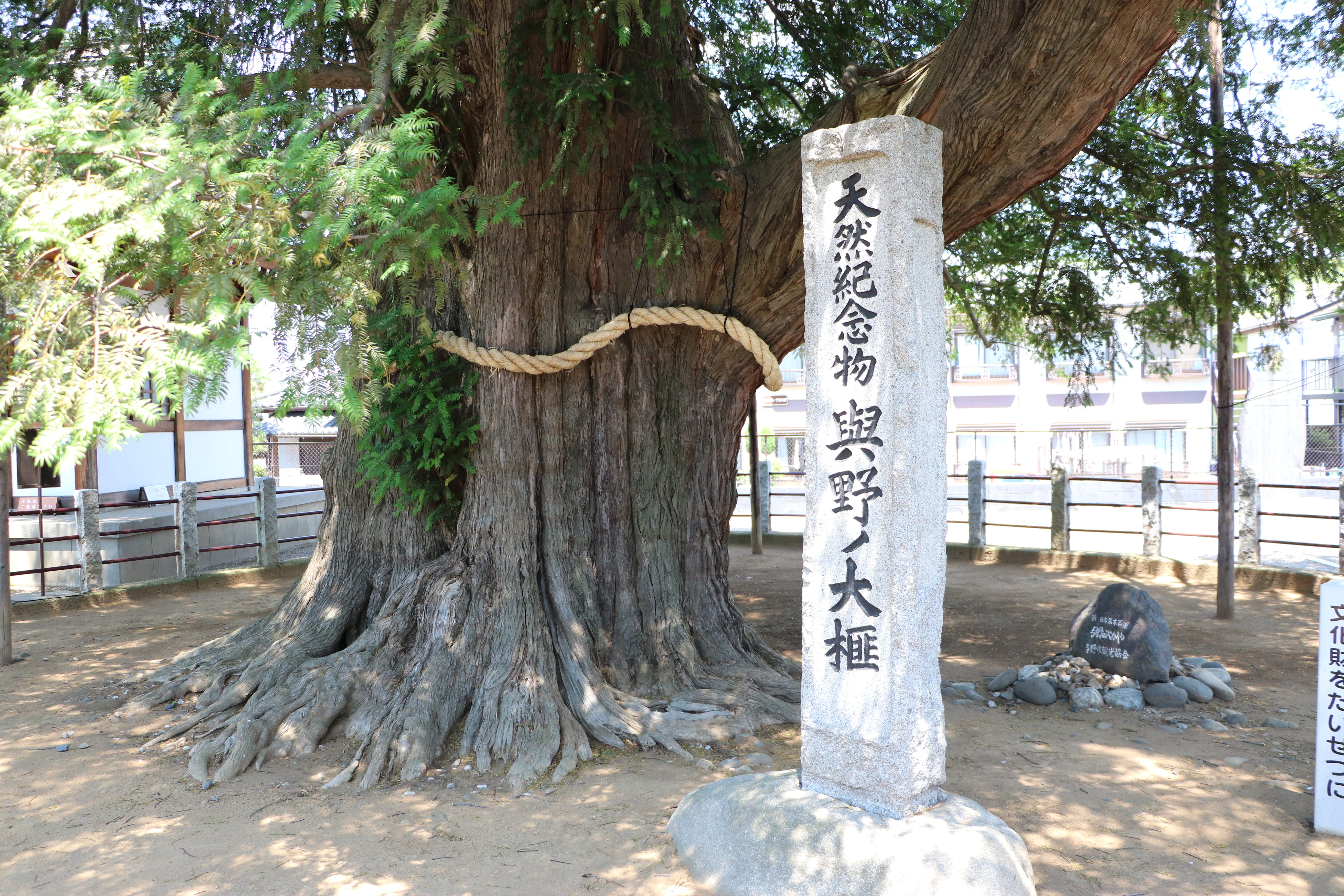 File:Yono no Okaya, stone monument natural monuments of japan.jpg