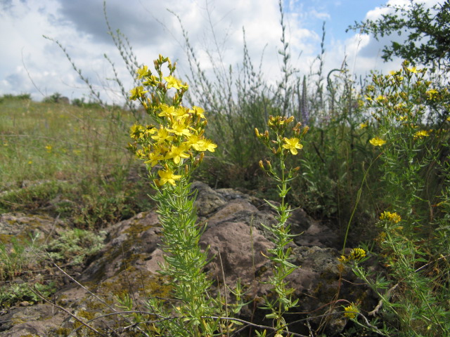 File:Червона Балка Північна 5.jpg