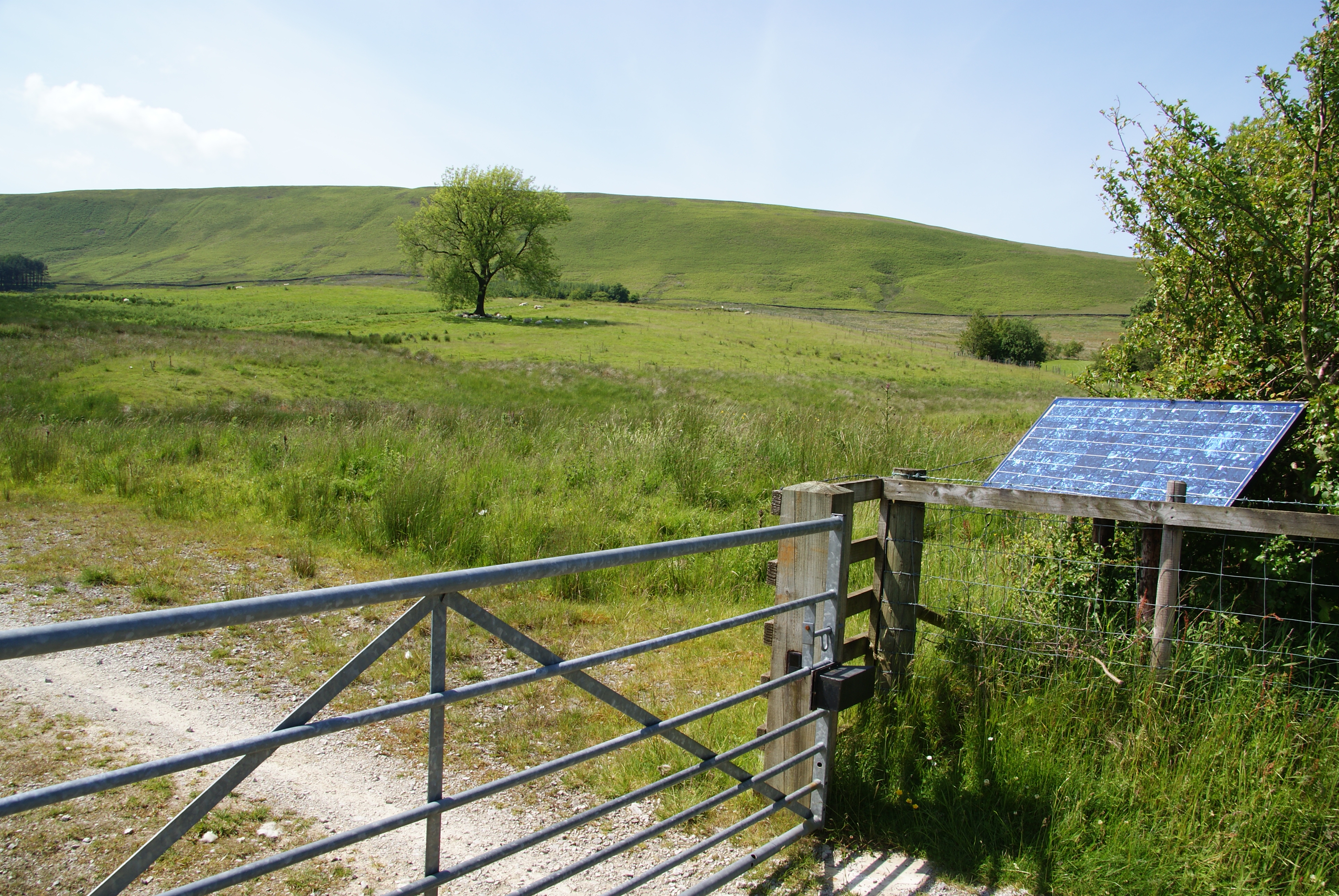 A solar panel in the hedge - geograph.org.uk - 2465332