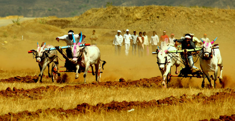 File:BOLLOCK CART RACING2.jpg