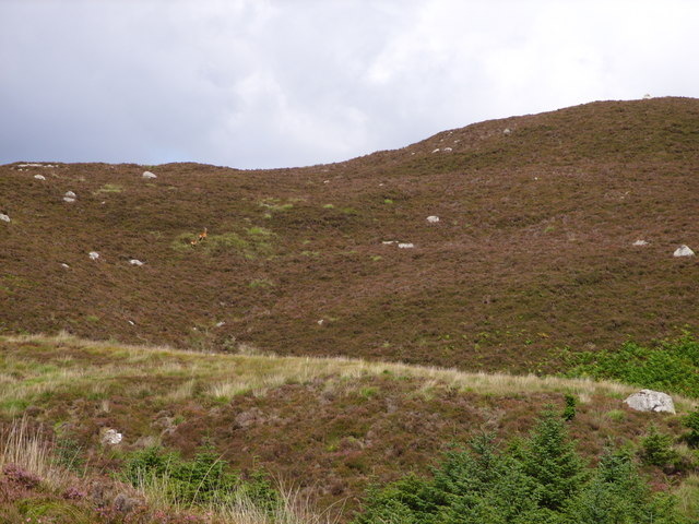 File:Blairbuies Hill - geograph.org.uk - 513687.jpg