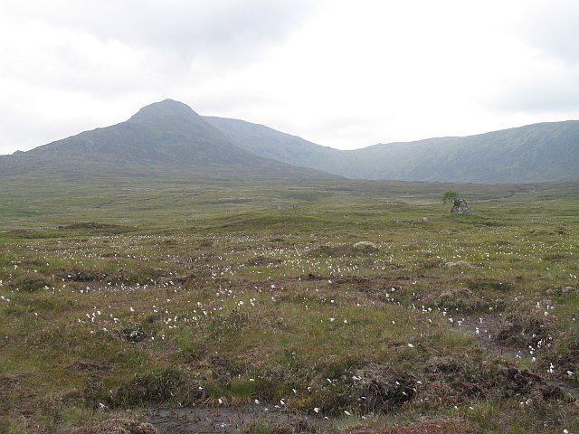 File:Bogs, Corrour - geograph.org.uk - 1332067.jpg