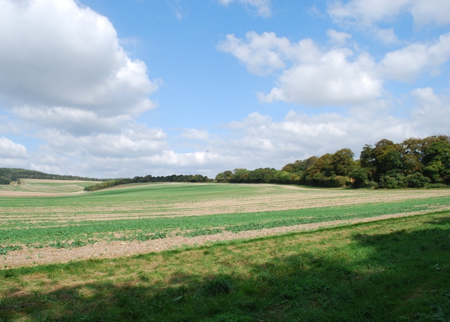 File:Bowhill - geograph.org.uk - 1498466.jpg