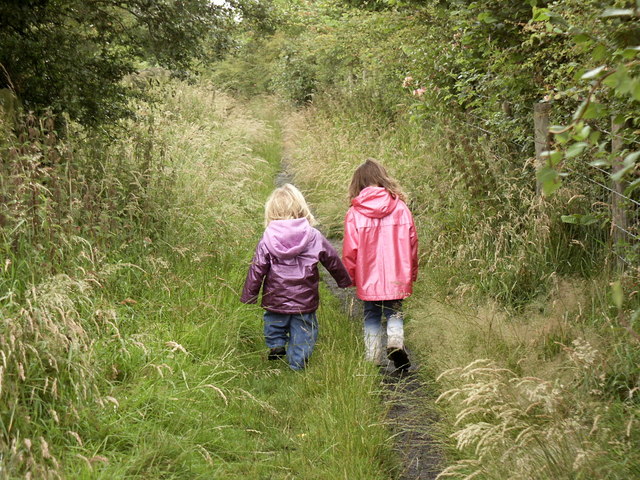 File:Bridleway to Bank Cottages, from Little Hayfield - geograph.org.uk - 1079575.jpg